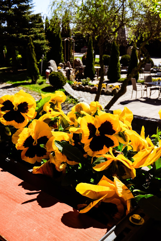 lato-u-rychertow-galeria-1