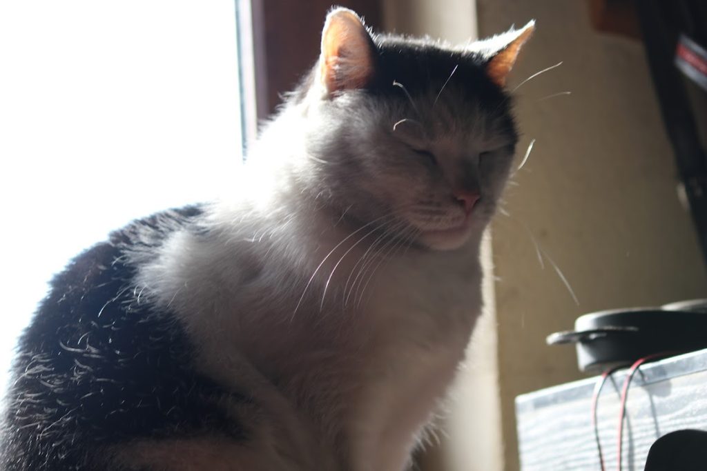 zielone-szkoly-grupy-noclegowe-u-rychertow-galeria-5