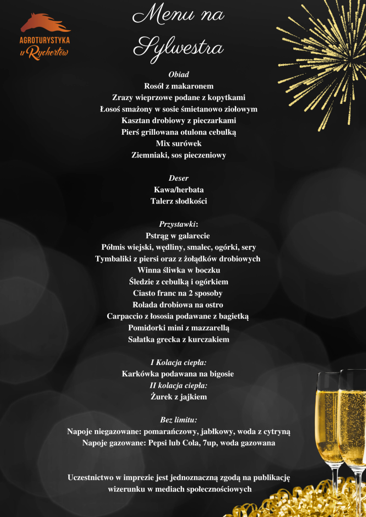 Sylwester 2024/2025 "U Rychertów"