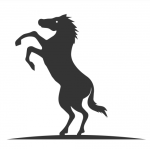 Udogodnienia w obiekcie: stajnia - Agroturystyka u Rychertów