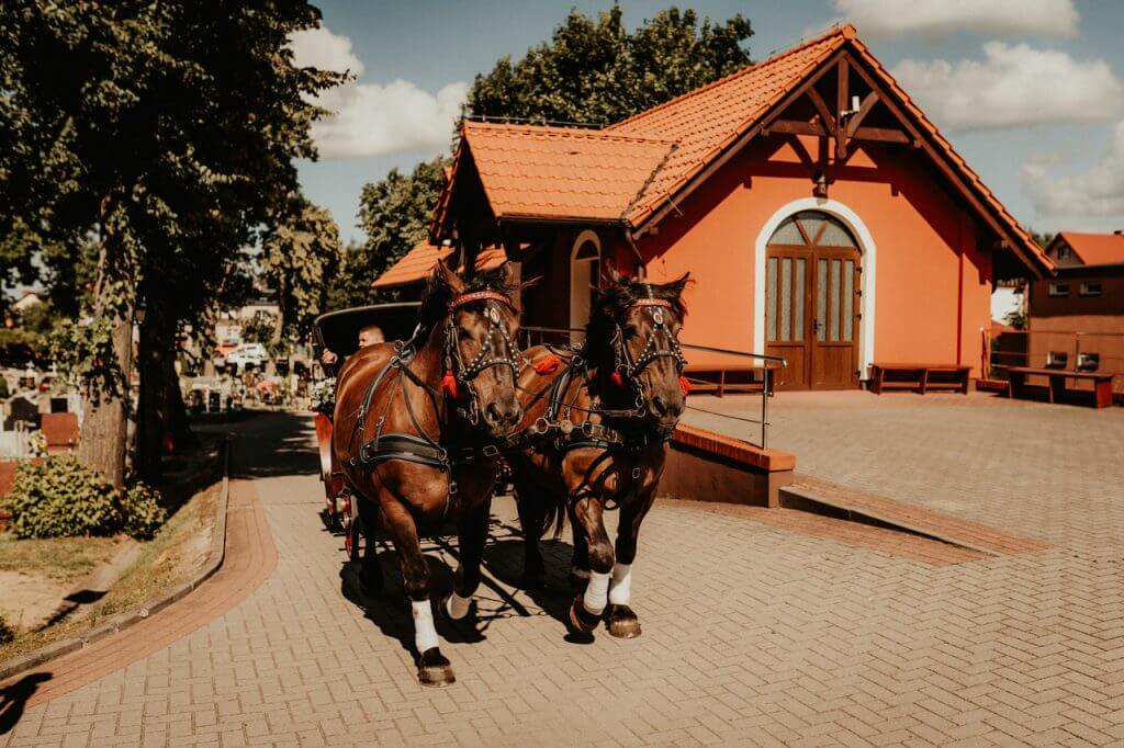 Galeria zdjęć z wesel na Kaszubach